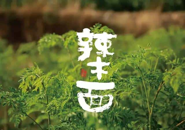 面粉、面条创意包装设计(合集),又多又好!  第181张