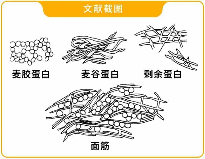 高筋面粉和低筋面粉有什么区别？  第62张