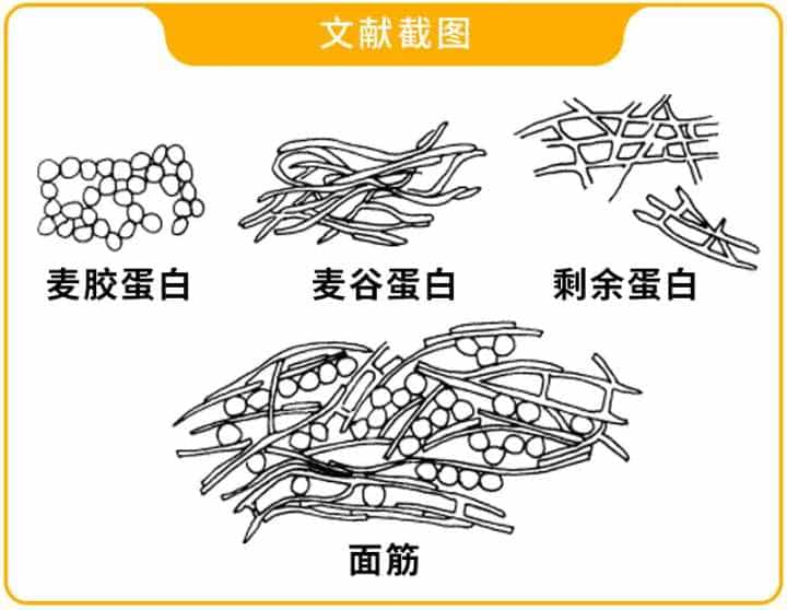 高筋面粉和低筋面粉有什么区别？  第61张