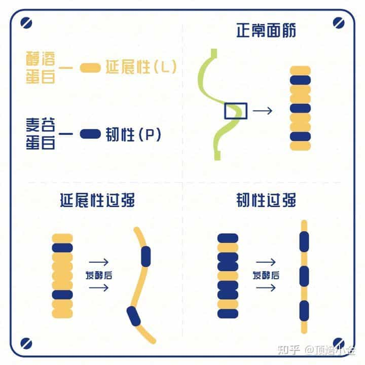 高筋面粉和低筋面粉有什么区别？  第155张