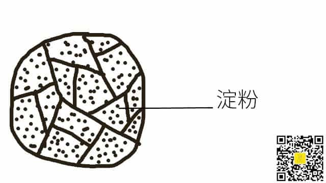 烘焙笔记—面粉成分大解析  第10张