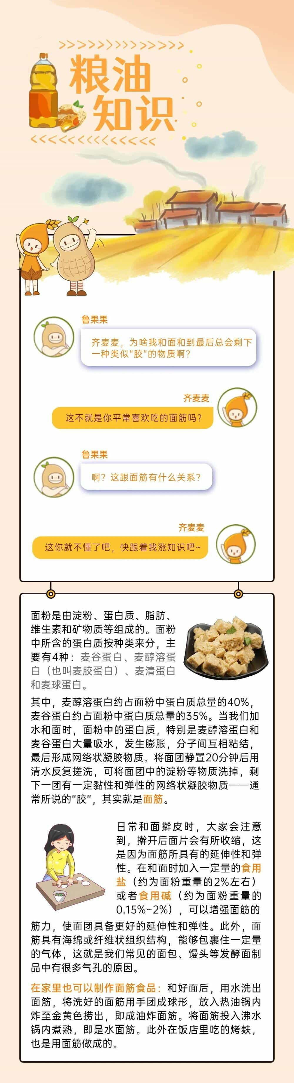 面粉中的面筋是怎么回事？  第3张