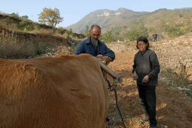 山区留守老人黄小米销路难,紧急求援,让我们一起转发,给他们多一份希望.  第3张