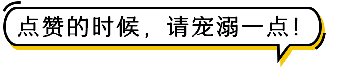 起得早、混得好的小米劈腿包装了!但包装人还没有醒来  第17张