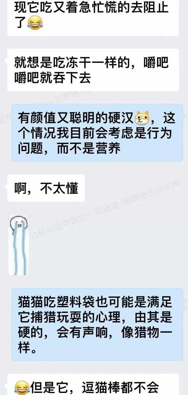 塑料袋是啥子喵间美味,竟让小猫咪如此沉醉_  第9张