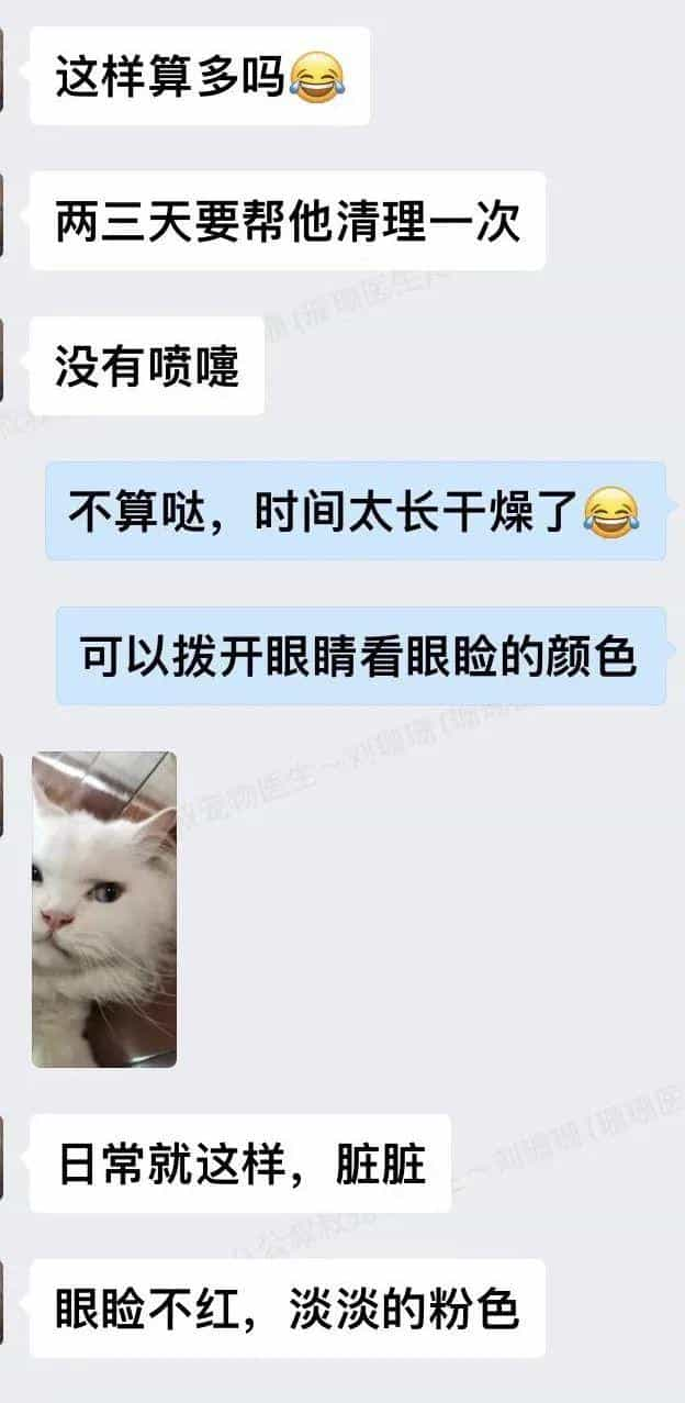 塑料袋是啥子喵间美味,竟让小猫咪如此沉醉_  第17张