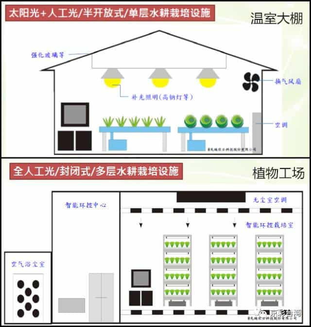 淀粉造塑料袋_宝岛青年科学家脑洞有多大!  第12张