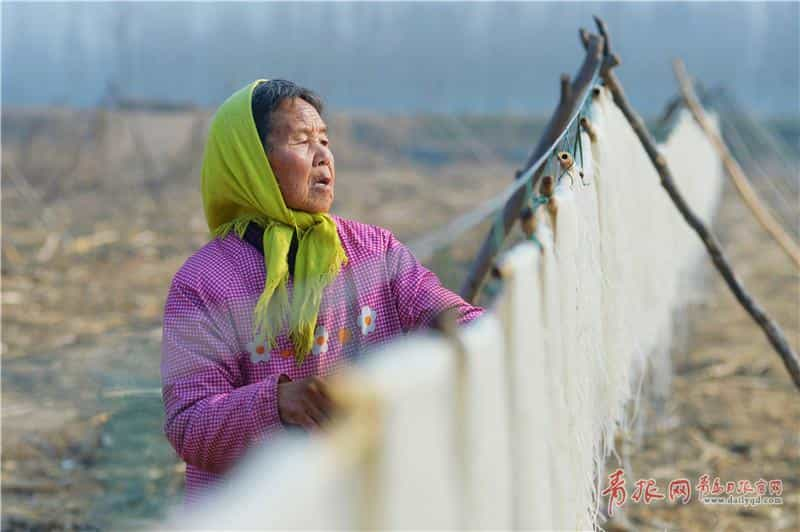 手工粉条变畅销年货青岛“粉条村”赶制忙  第3张