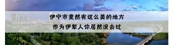 去年新疆人吃掉了2610000吨面粉!最过瘾的吃法,看完直流哈喇子…  第14张