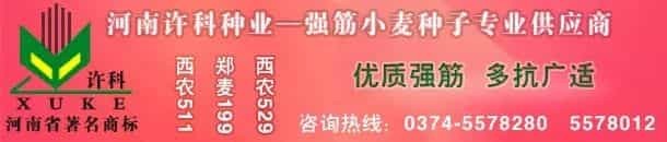 【推荐】河北小麦为啥比安徽面粉厂家价格高近百元_  第9张