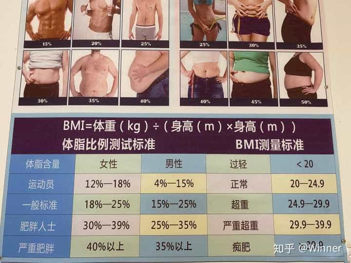 如何在两个月内安全有效健康地减肥10kg?  第43张