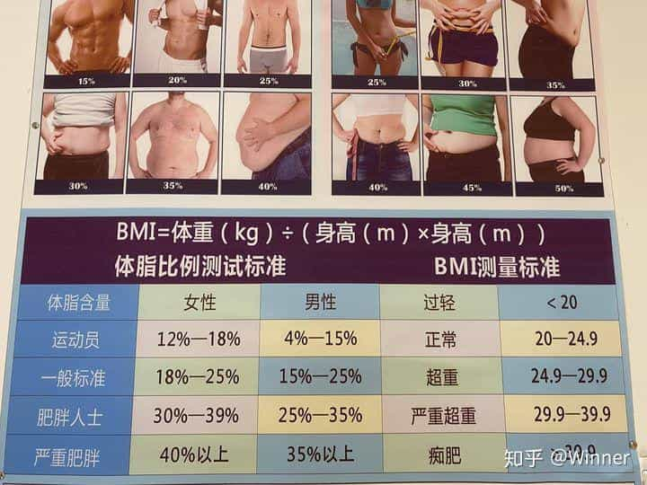 如何在两个月内安全有效健康地减肥10kg?  第44张