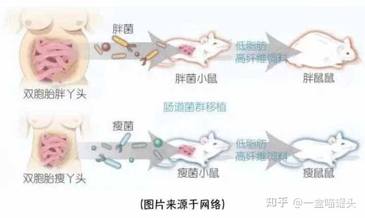 如何在2个月内安全健康的瘦10kg？  第11张